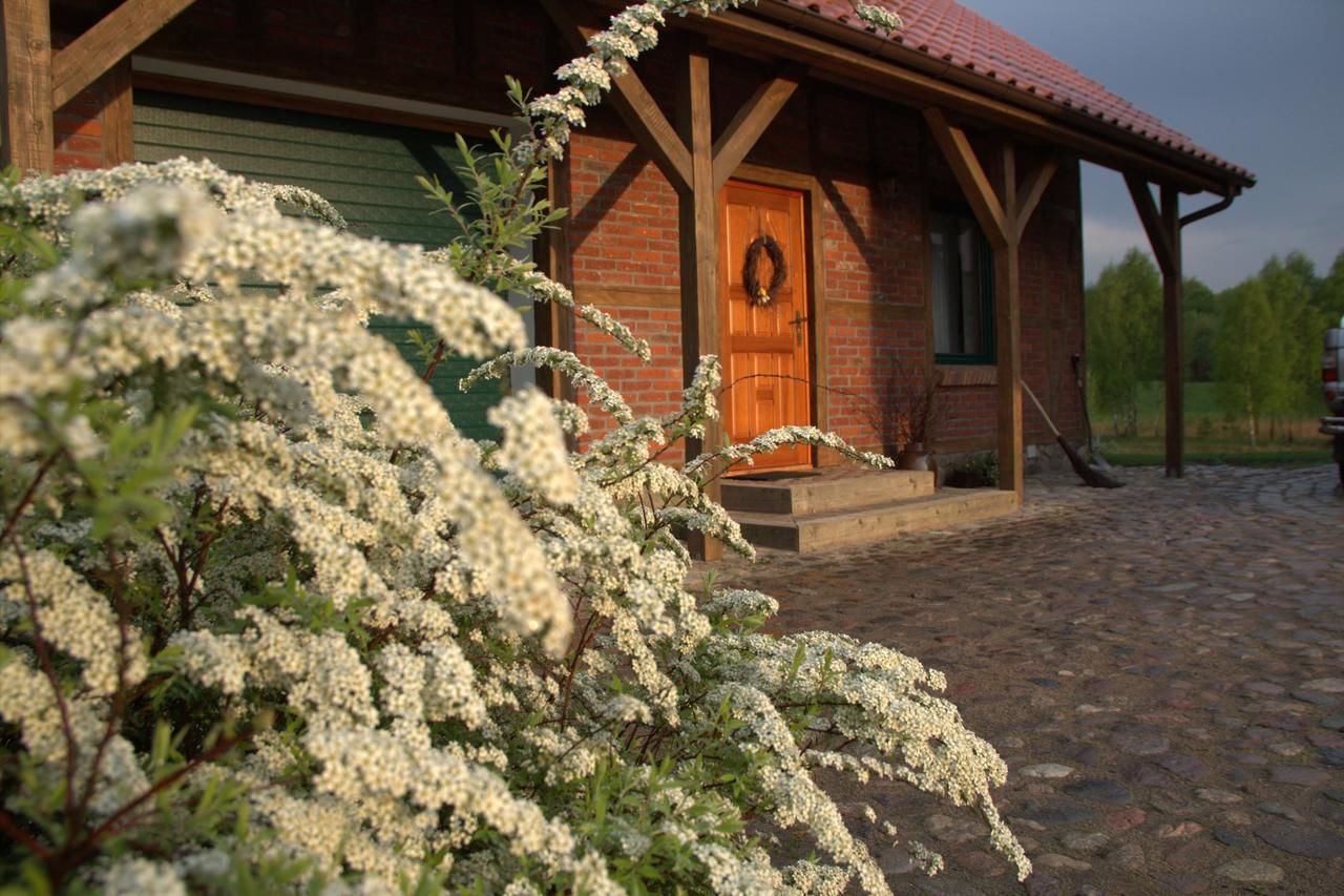Фермерские дома Dom Nad Stawem Ostrowice