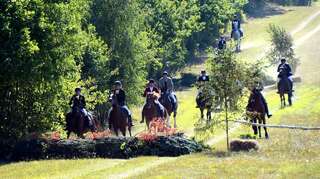 Фермерские дома Dom Nad Stawem Ostrowice-1